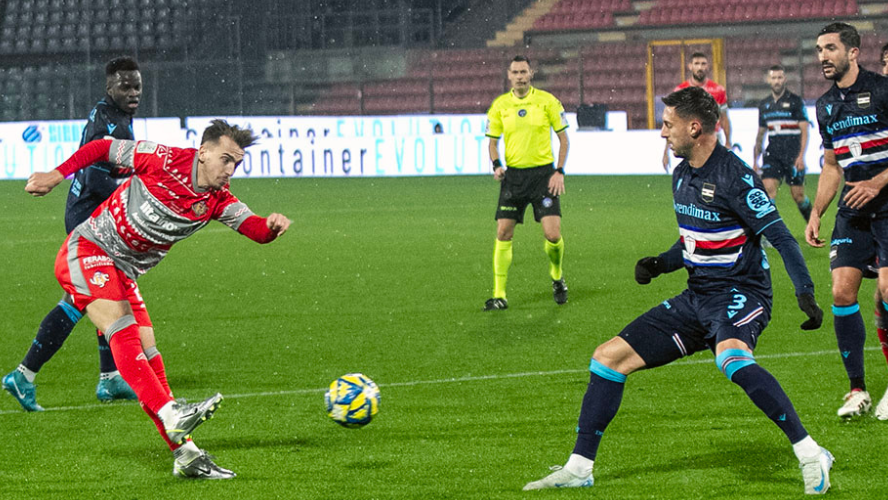 SAMPDORIA-CREMONESE: STATISTICHE, QUOTE E PRONOSTICO