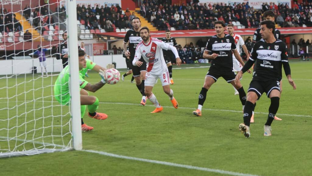 SPEZIA-MANTOVA: STATISTICHE, QUOTE E PRONOSTICO